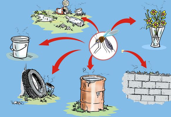 Cách kiểm soát sốt xuất huyết chủ yếu và hiệu quả nhất là xua muỗi, diệt muỗi, diệt bọ gậy ở những nơi muỗi thường đẻ trứng.