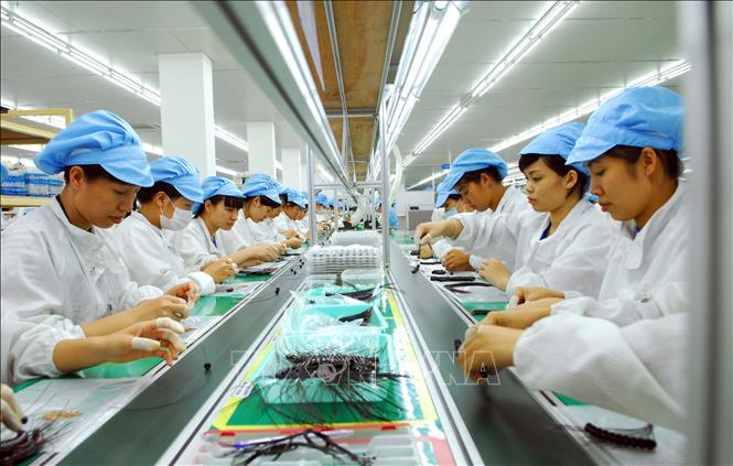 Dây chuyền sản xuất thiết bị điện tử tại Công ty TNHH Bluecom Vina, 100% vốn đầu tư của Hàn Quốc, tại khu công nghiệp Tràng Duệ (Hải Phòng). Ảnh minh họa: Danh Lam/TTXVN