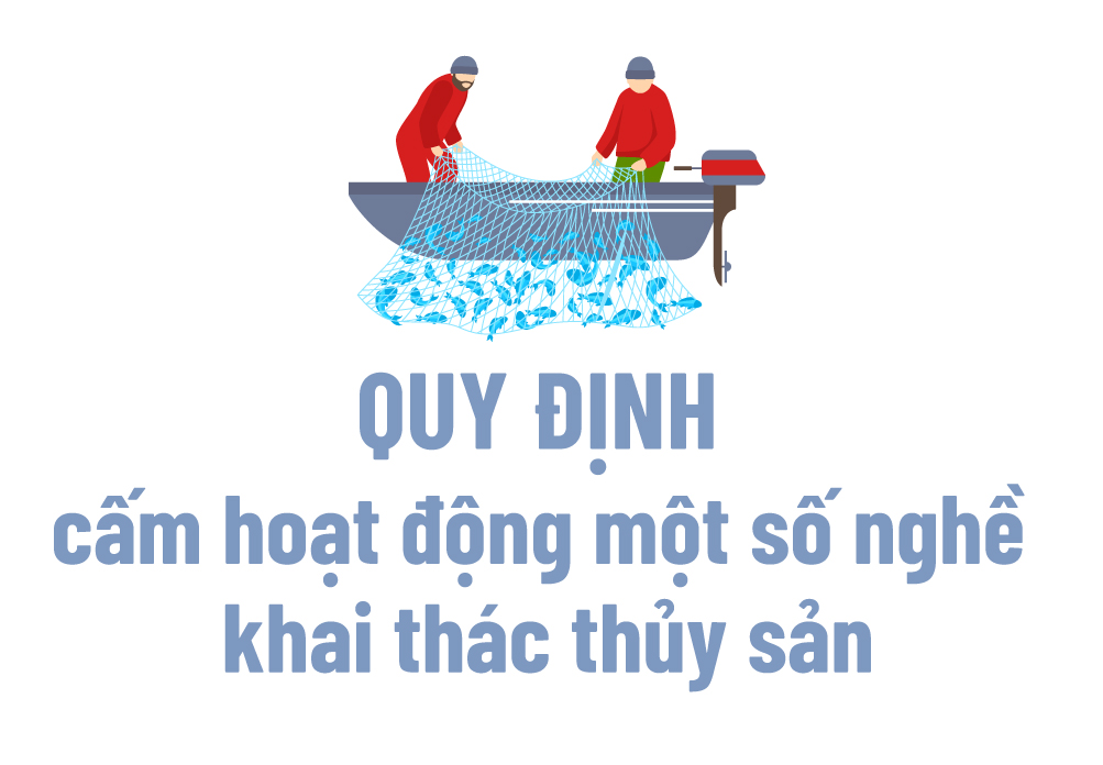 Quy định cấm hoạt động một số nghề khai thác thủy sản