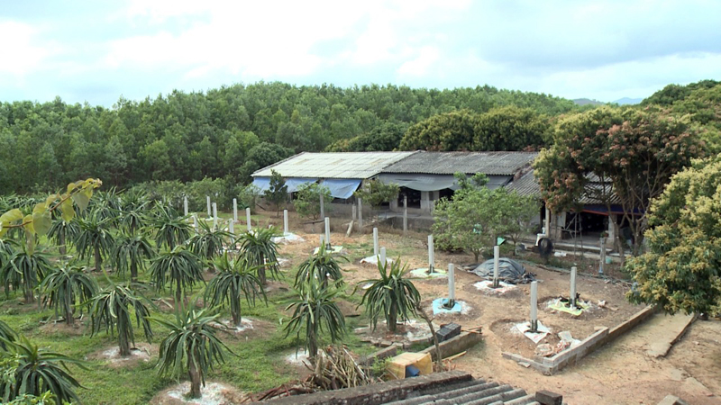 Phong trào xây dựng thôn mẫu, vườn mẫu đã tạo khí thế thi đua lao động sản xuất sôi nổi ở Đầm Hà.