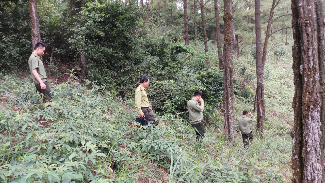 Cán bộ kiểm lâm TP Uông Bí tuần tra bảo vệ rừng.