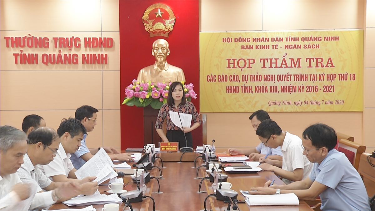 Đồng chí Bùi Thị Hương, Trưởng Ban Kinh tế- Ngân sách HĐND tỉnh phát biểu tại cuộc họp