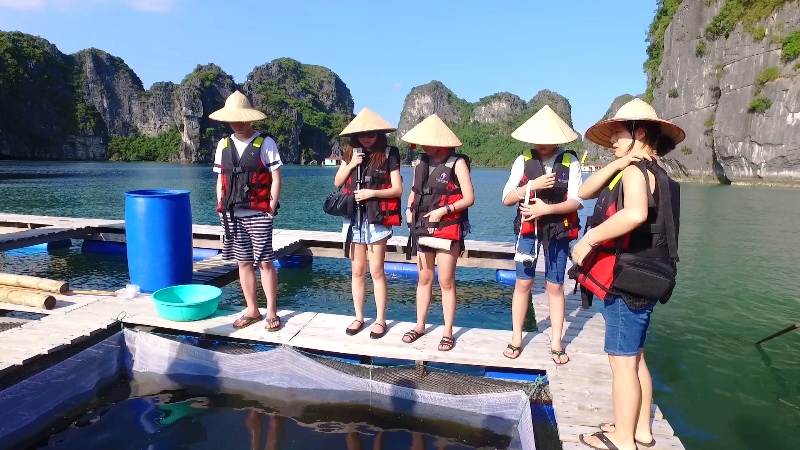 Du khách tham quan nhà bè nuôi trồng thủy sản tại khu vực Vung Viêng