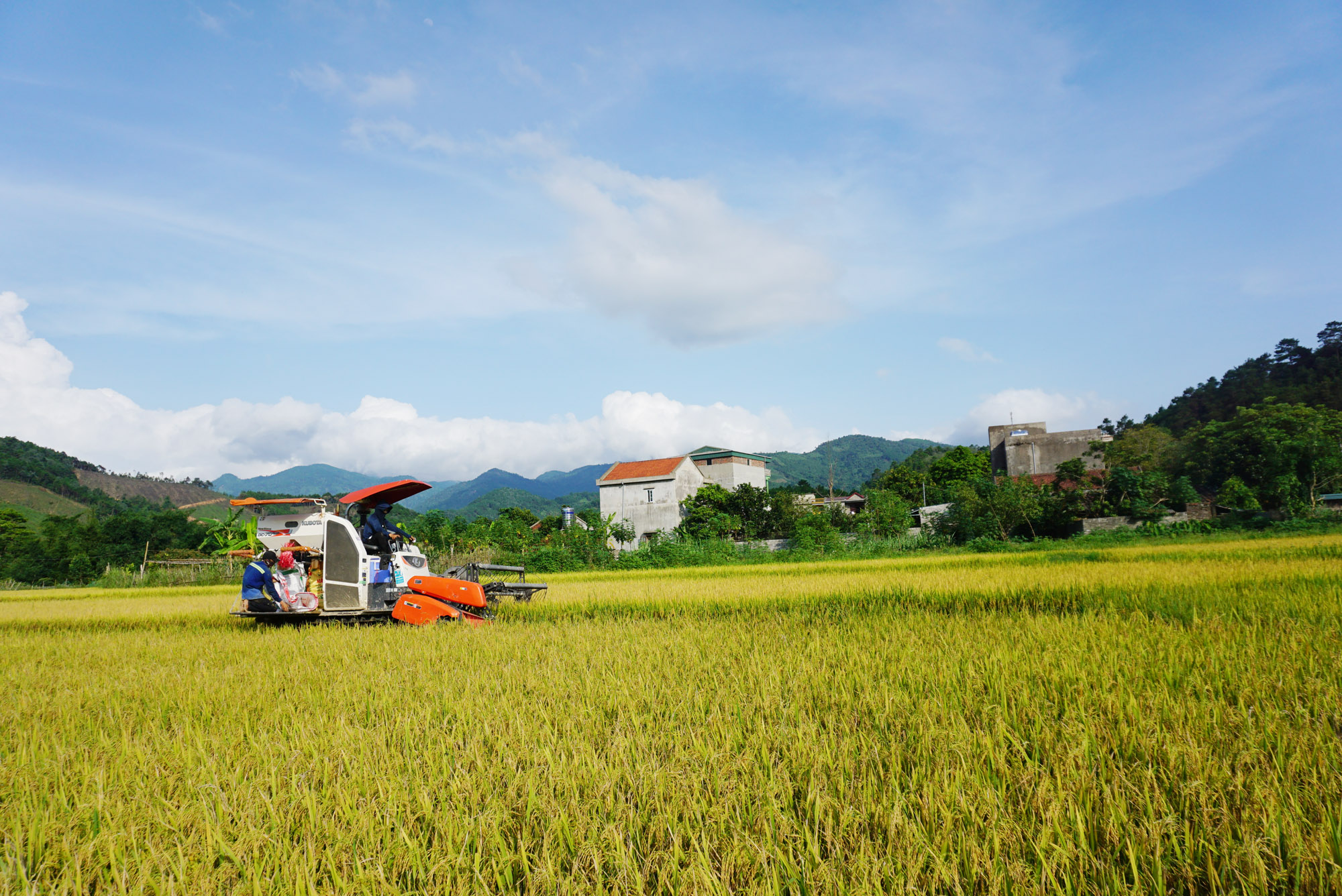 Nhanh chóng đưa nghị quyết đại hội vào cuộc sống