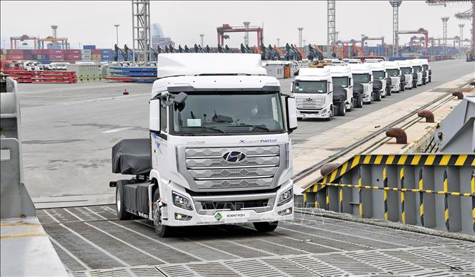 Những chiếc xe tải chạy bằng hydro chuẩn bị xuất cảng Gwangyang, thành phố Gwangyang, tỉnh Nam Jeolla, Hàn Quốc ngày 6/7/2020. Ảnh: Yonhap/TTXVN