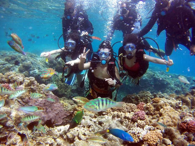 Du khách thỏa thích lặn biển Kỳ Co ngắm san hô.