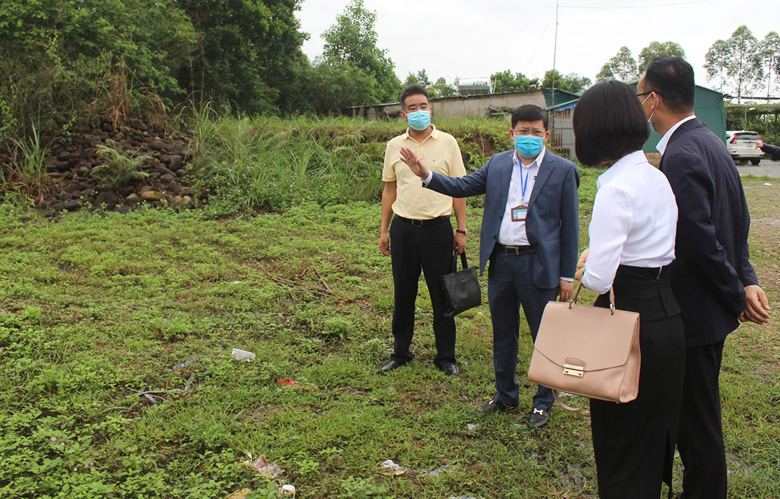 Đoàn doanh nghiệp trong KCN Cảng biển Hải Hà khảo sát thực địa nghiên cứu đầu tư dự án Khu sản xuất phụ trợ của KCN tại xã Dực Yên (huyện Đầm Hà), tháng 4/2020.