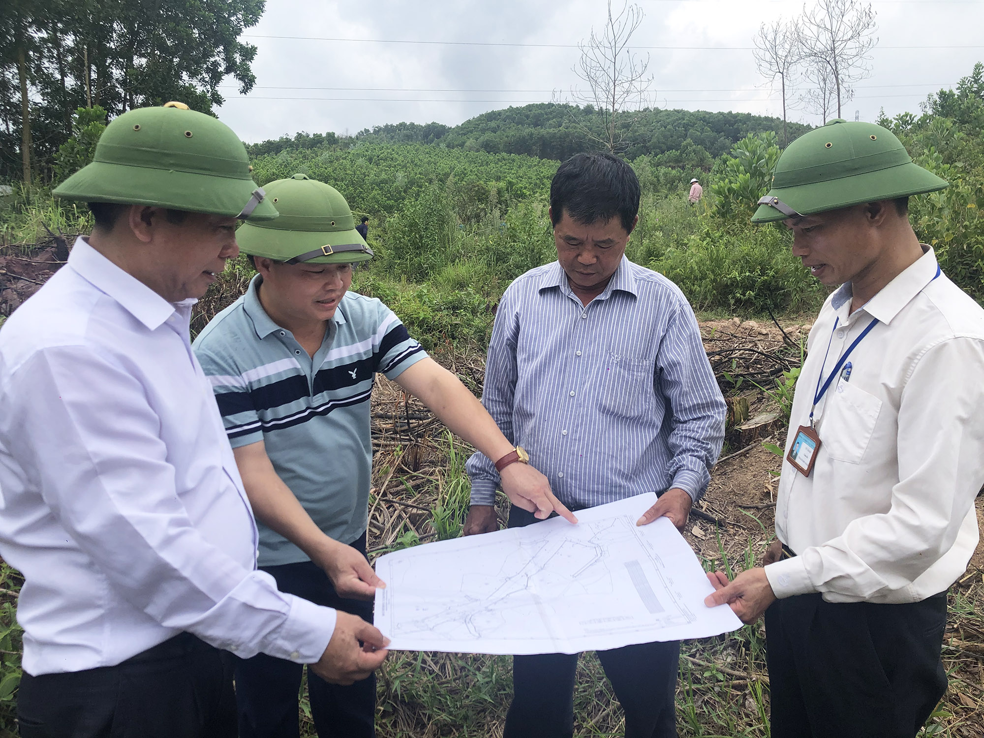 Chính quyền huyện Đầm Hà thực hiện kiểm đếm diện tích đất 
