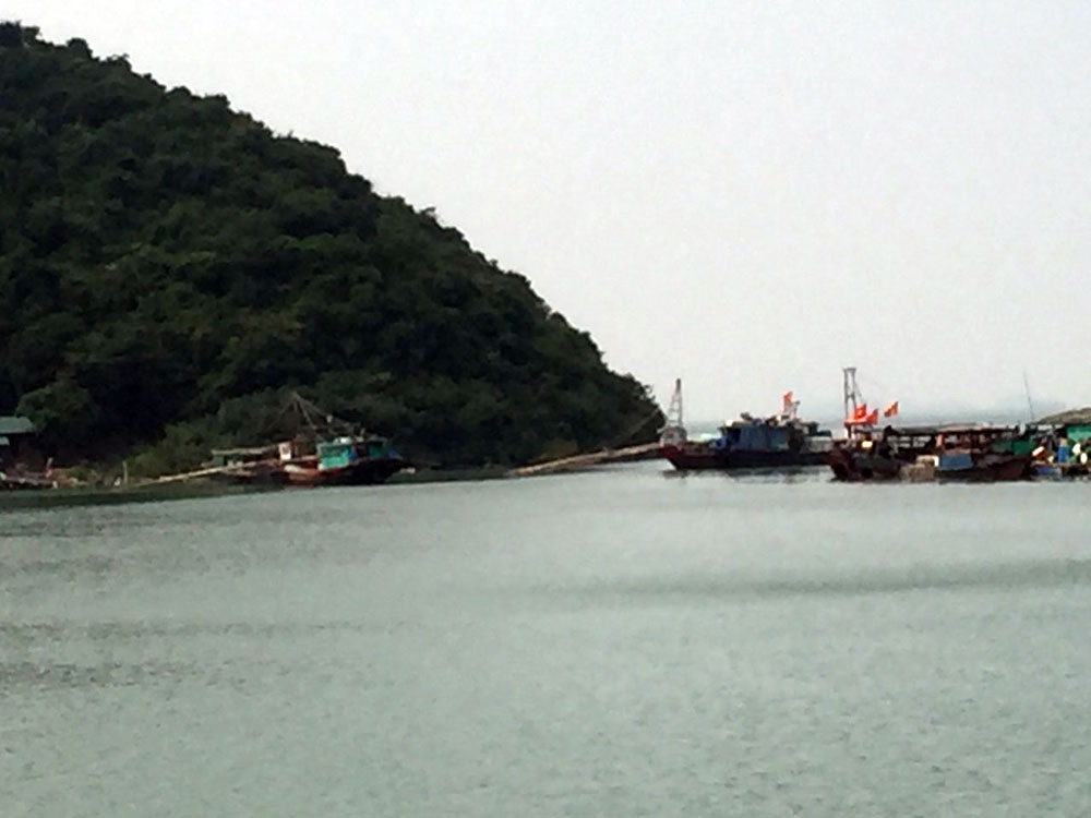 Các tàu khán điện thường xuyên neo đậu tại khu vực cống Cách, xã Vĩnh Trung.