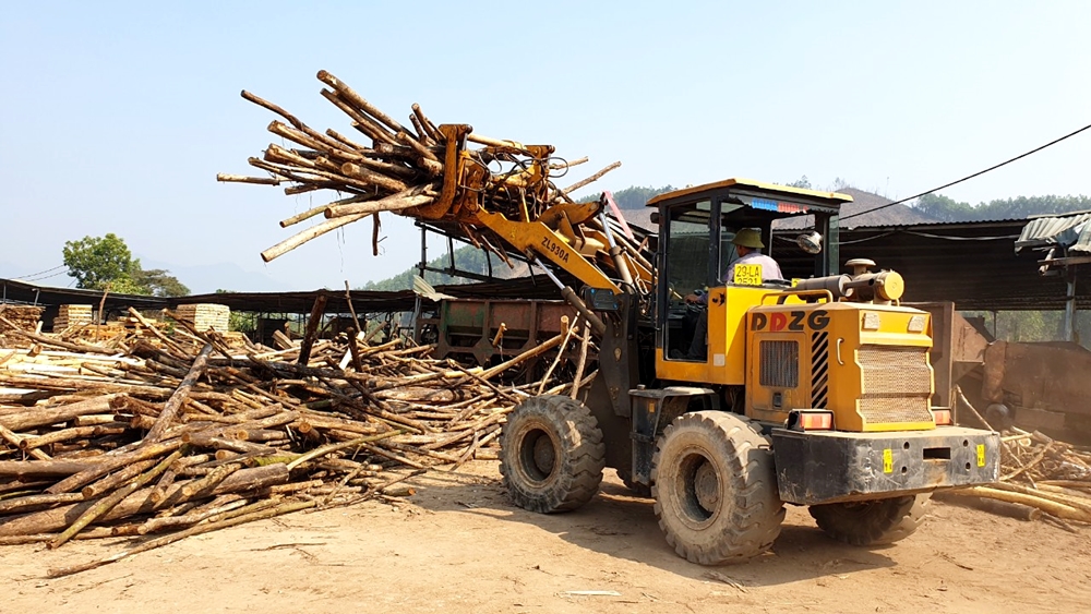Các doanh nghiệp chế biến gỗ dần hồi phục.