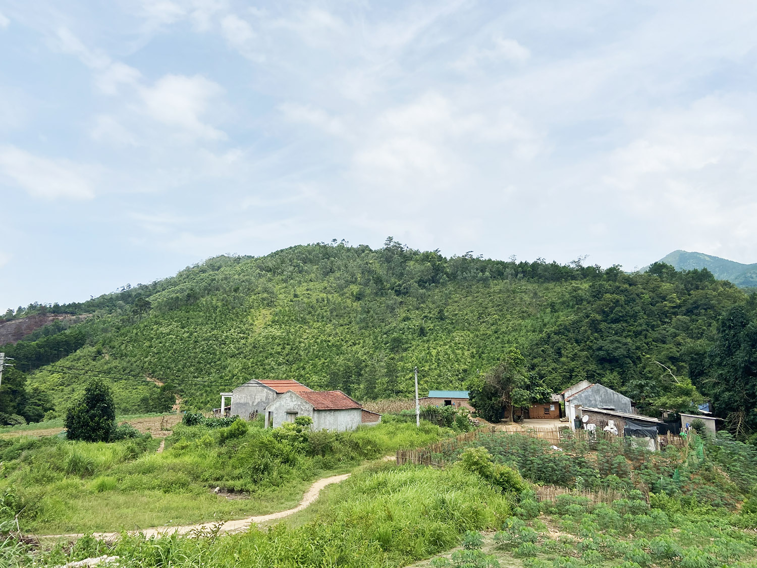 Huyện Bình Liêu có diện tích đất lâm nghiệp lớn