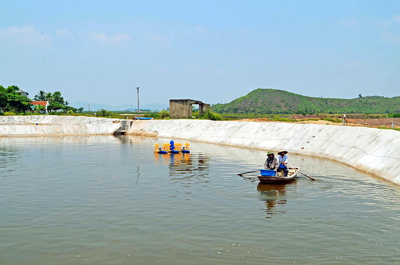 Người dân thôn Phúc Tiến (xã Tân Lập, huyện Đầm Hà) phát triển sản xuất nuôi trồng thủy sản.