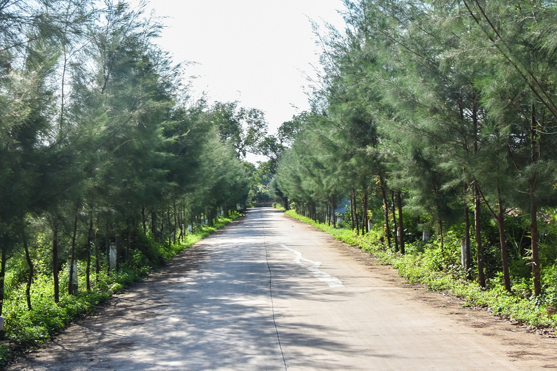Tuyến đường thôn Đồng Mạ, xã Tiên Lãng (Tiên Yên) được nâng cấp khang trang, rộng rãi, xanh bóng cây hai bên lề đường.