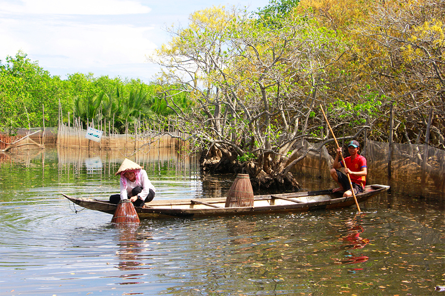 Khu bảo tồn rừng ngập mặn Rú Chá là một trong những địa điểm được nhiều nhiếp ảnh gia ưa thích sáng tác. Rú Chá cũng là điểm thu hút nhiều du khách tham quan.