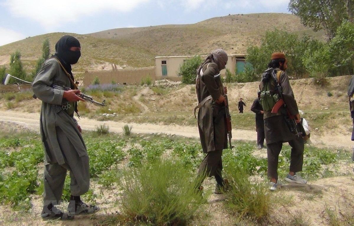Các tay súng Taliban tại một khu vực ở tỉnh Paktia, Afghanistan. (Ảnh: AFP/TTXVN)