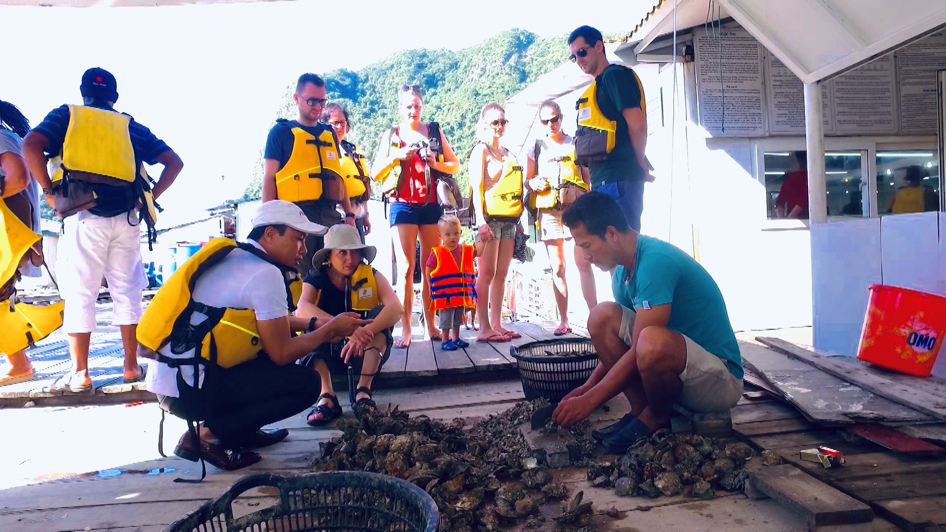 Khách du lịch trải nghiệm hoạt động khai thác hải sản trên vịnh.