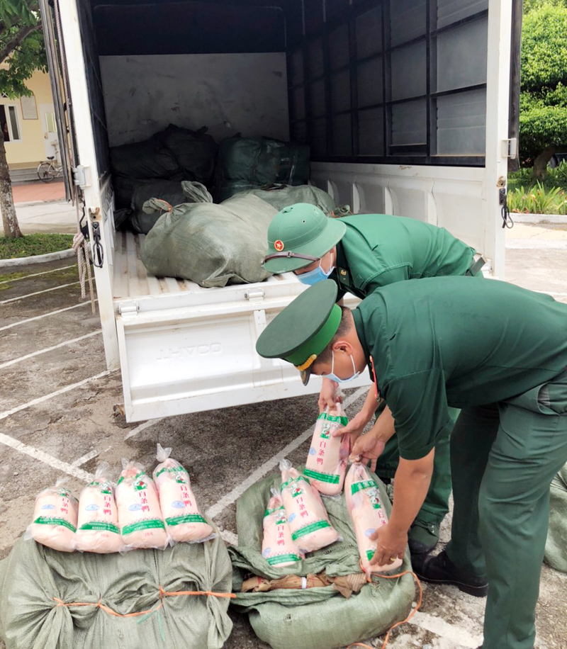 Lượng lượng chức năng TP Móng Cái bắt giữ 1 đối tượng vận chuyển trái phép 600 kg thịt vịt đông lạnh không có xuất xứ, nguồn gốc. Ảnh: Hữu Việt.