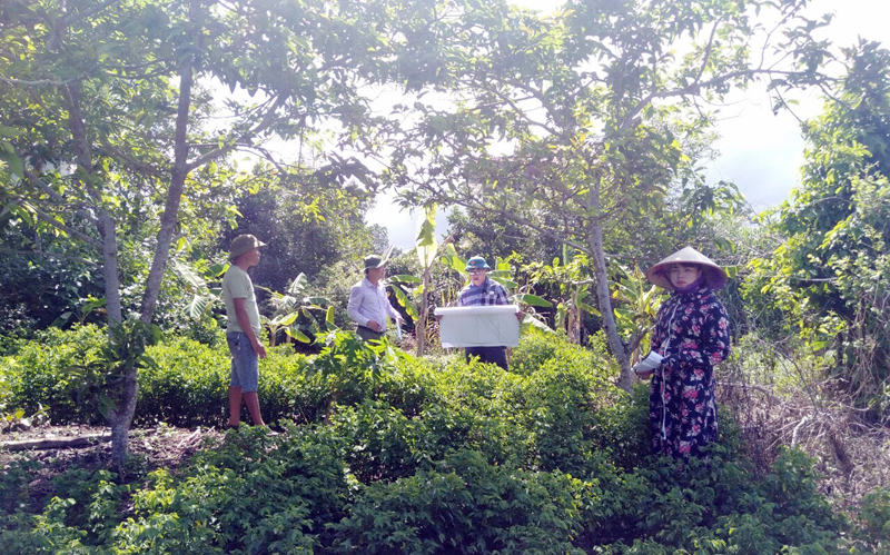 Tổ công tác của huyện Hải Hà thực hiện kiểm đếm tài sản đối với hộ dân bị ảnh hưởng bởi dự án tại địa phận xã Quảng Chính.