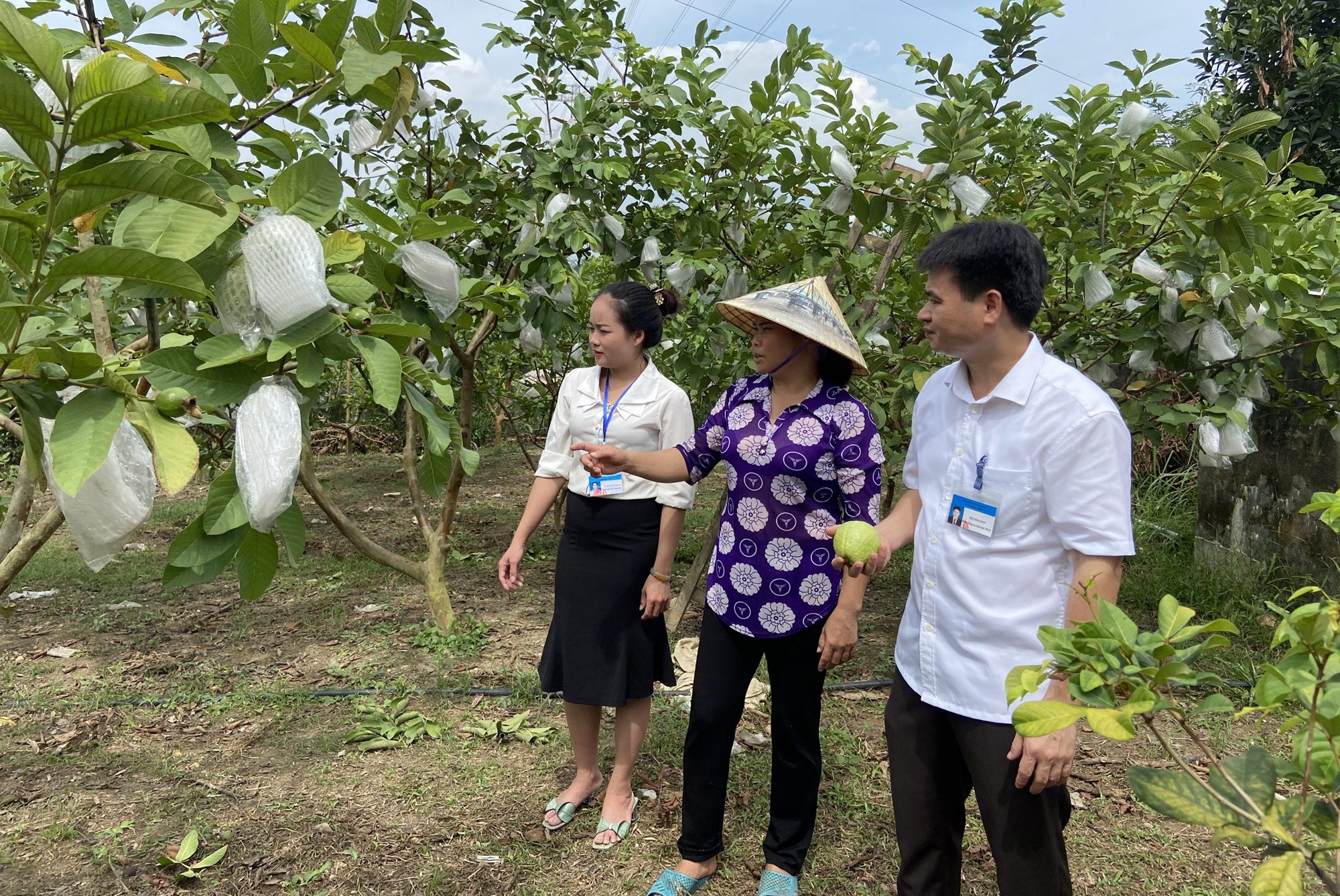Chị Nguyễn Thị Tươi, thôn Tân Hải, xã Dương Huy phấn khởi khi xây dựng thành công vườn mẫu, tăng thu nhập gia đình. 