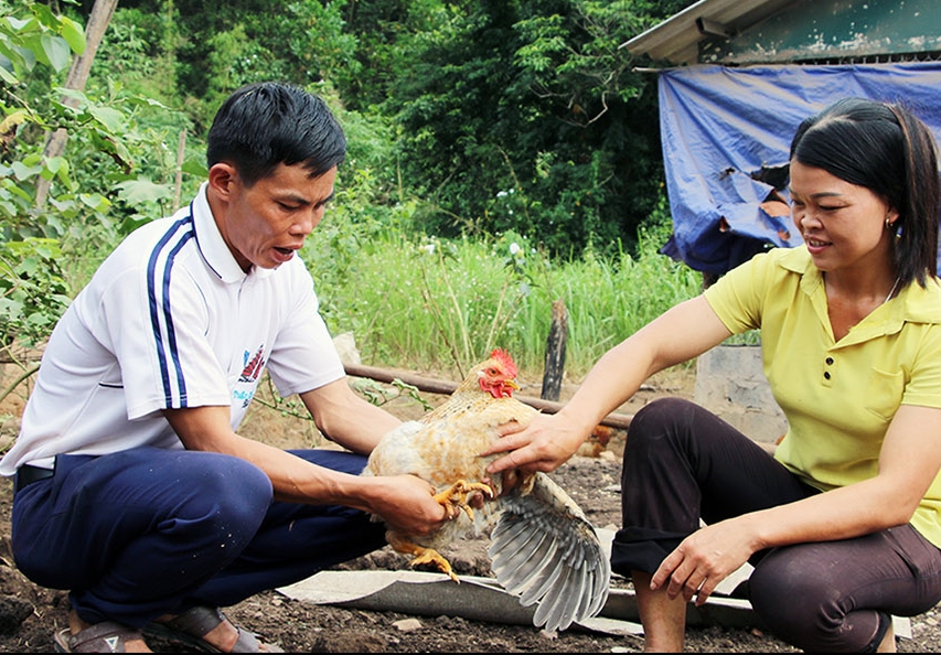 Người dân thôn Khe Lẹ, xã Hà Lâu, huyện Tiên Yên ổn định cuộc sống, phát triển kinh tế ở khu tái định cư. 