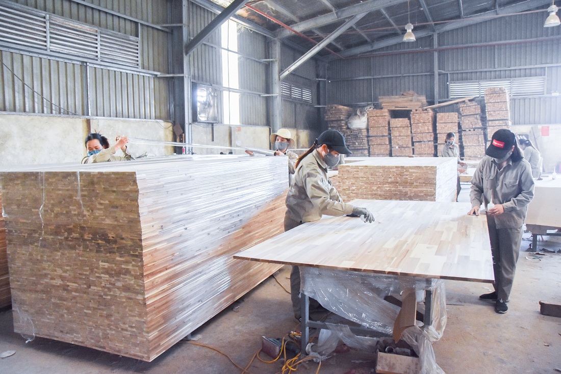 Sản xuất gỗ ghép thanh tại Công ty TNHH Thanh Lâm.