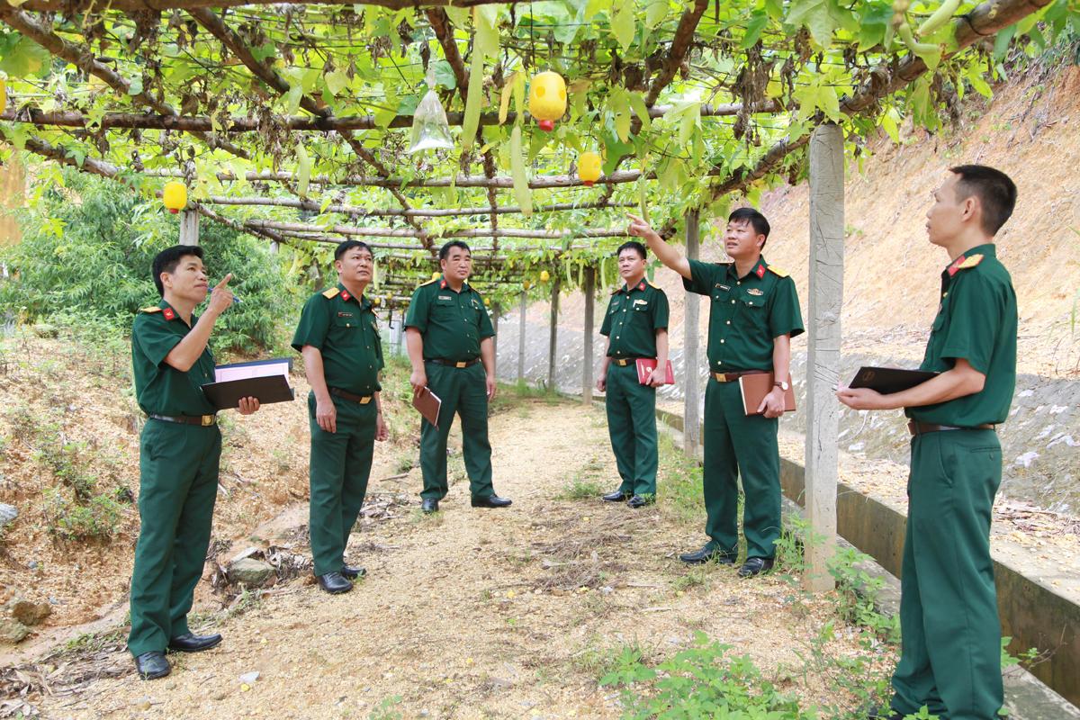 Bộ CHQS tỉnh kiểm tra, chấm thi về nội dung tăng gia sản xuất tại Ban CHQS huyện Vân Đồn. 