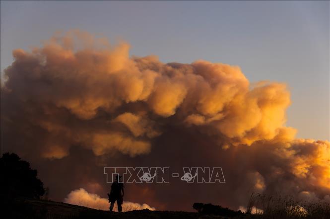 Khói bốc lên từ đám cháy rừng tại Vịnh San Francisco, California, Mỹ, ngày 19/8/2020. Ảnh: THX/TTXVN
