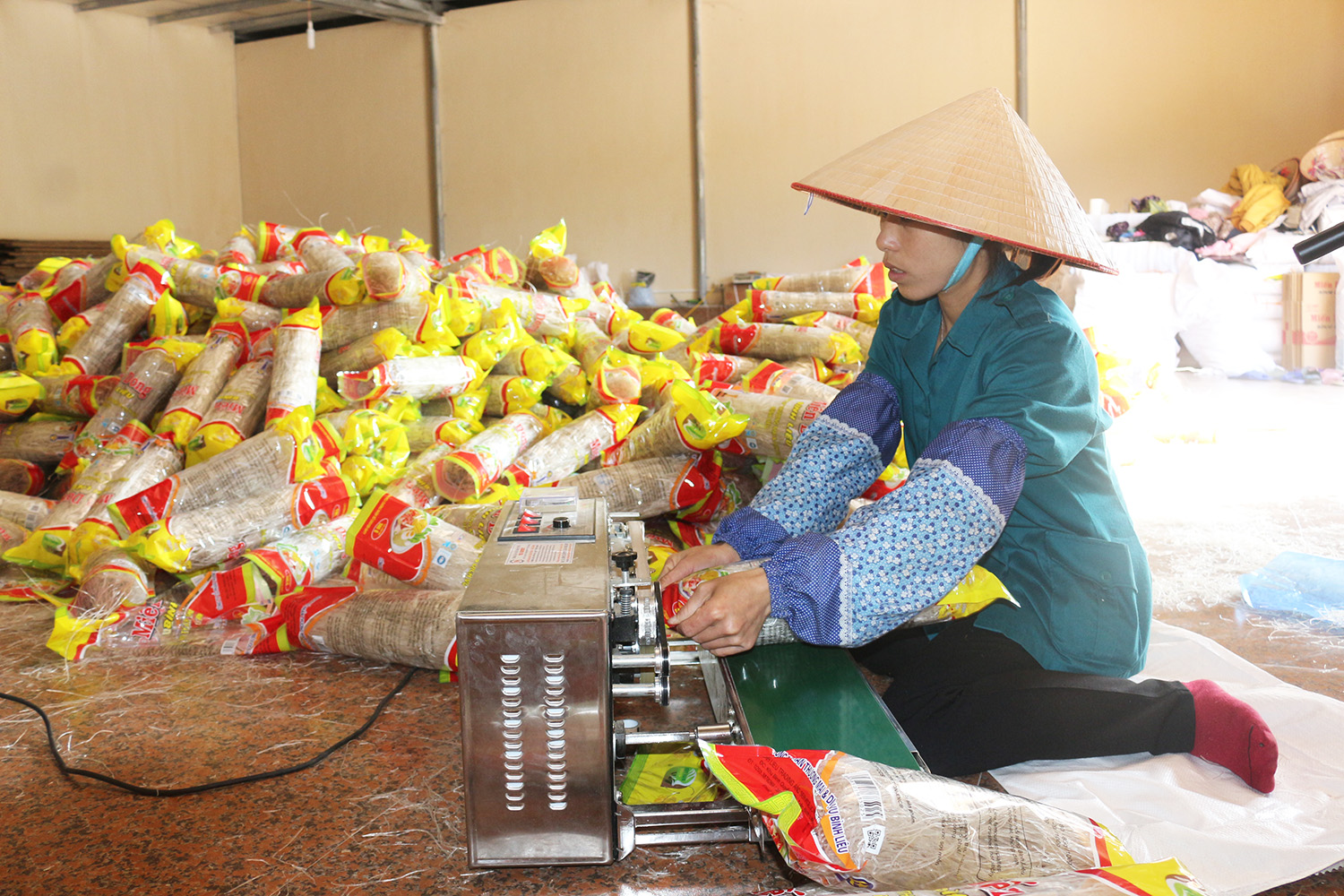 Cơ sở sản xuất miến dong trên địa bàn huyện Bình Liêu thực hiện đóng gói sản phẩm miến dong Bình Liêu.