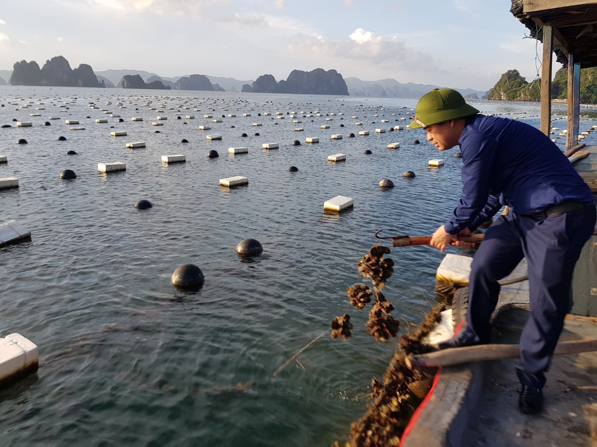 Chi cục Thủy sản (Sở NN&PTNT) kiểm tra việc nuôi hàu của các hộ dân trên địa bàn xã Bản Sen (huyện Vân Đồn)