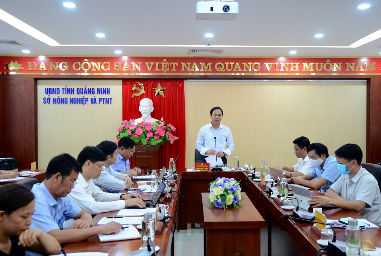 Đồng chí Đặng Huy Hậu, Phó Chủ tịch Thường trực UBND tỉnh, đại diện các sở, ngành liên quan dự hội nghị trực tuyến.