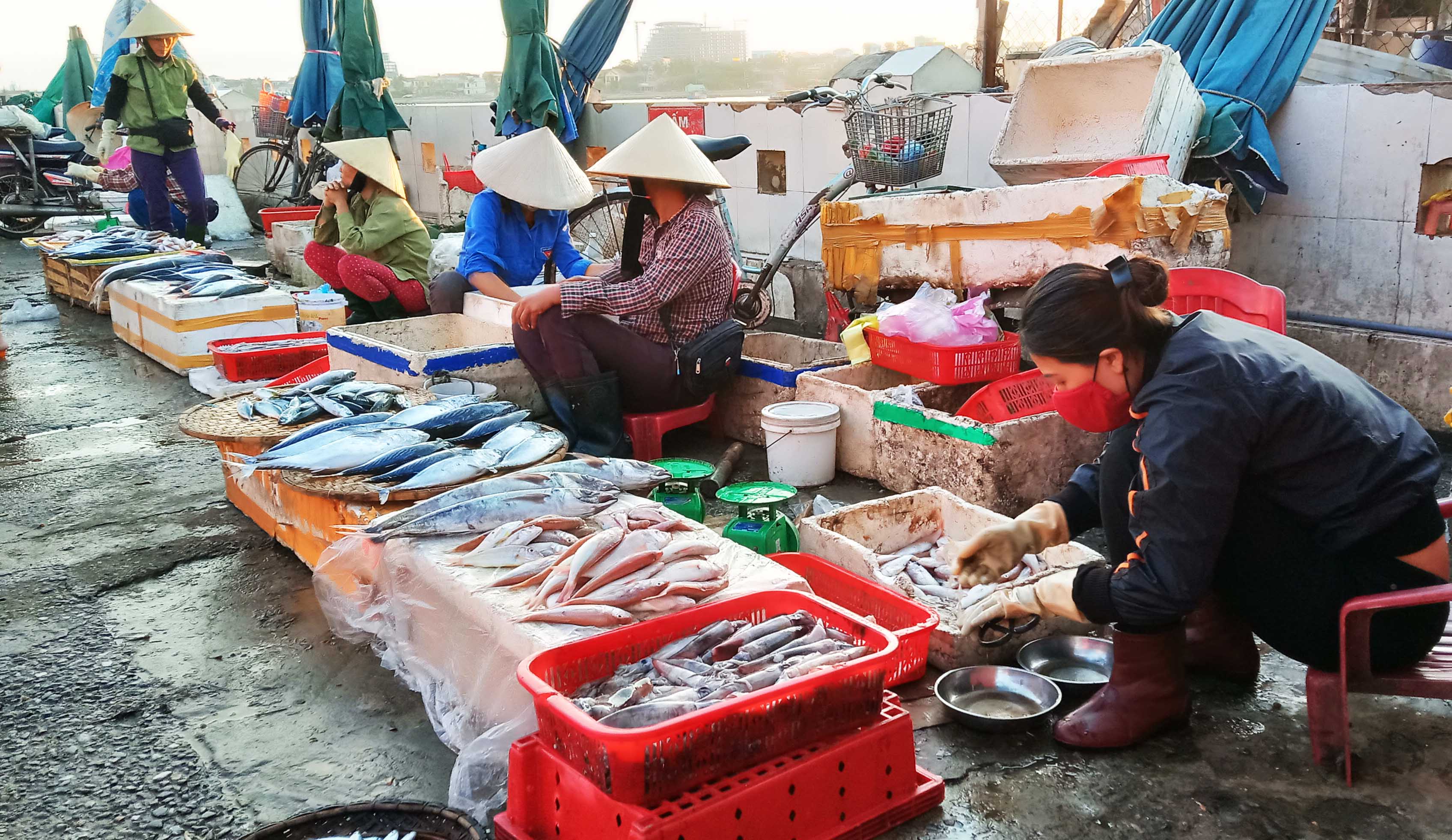 Chợ cá buổi sớm họp bên sông.