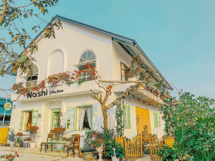 Nashi café & homestay is painted in avocado green color