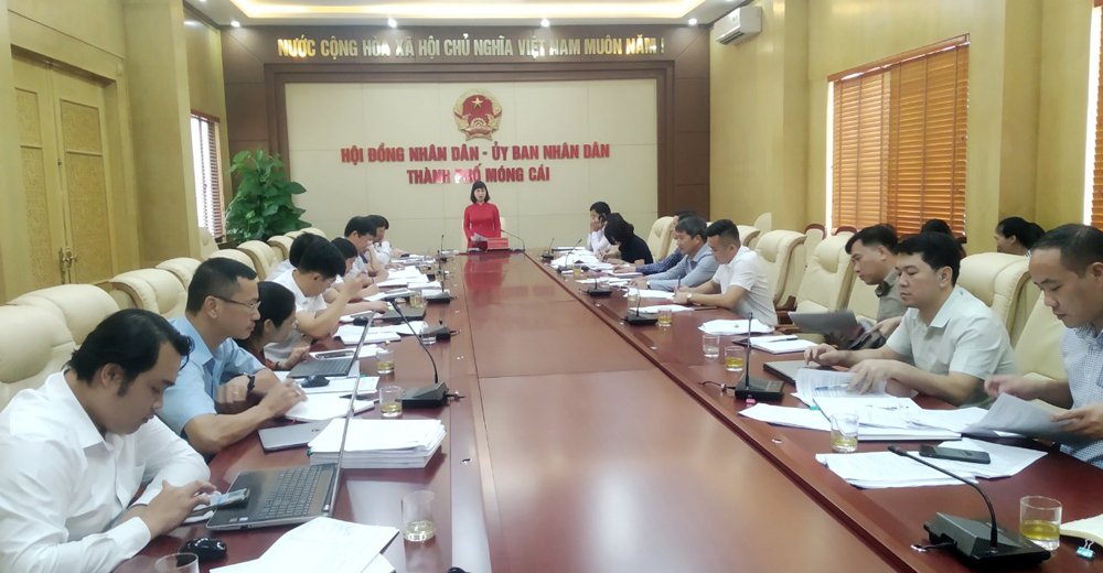 Đồng chí Trịnh Thị Minh Thanh kết luận tại buổi làm việc với TP Móng Cái.