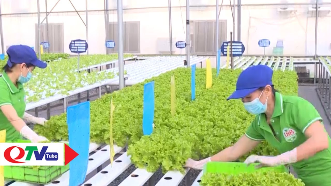 Quảng Ninh phát triển nông nghiệp công nghệ cao