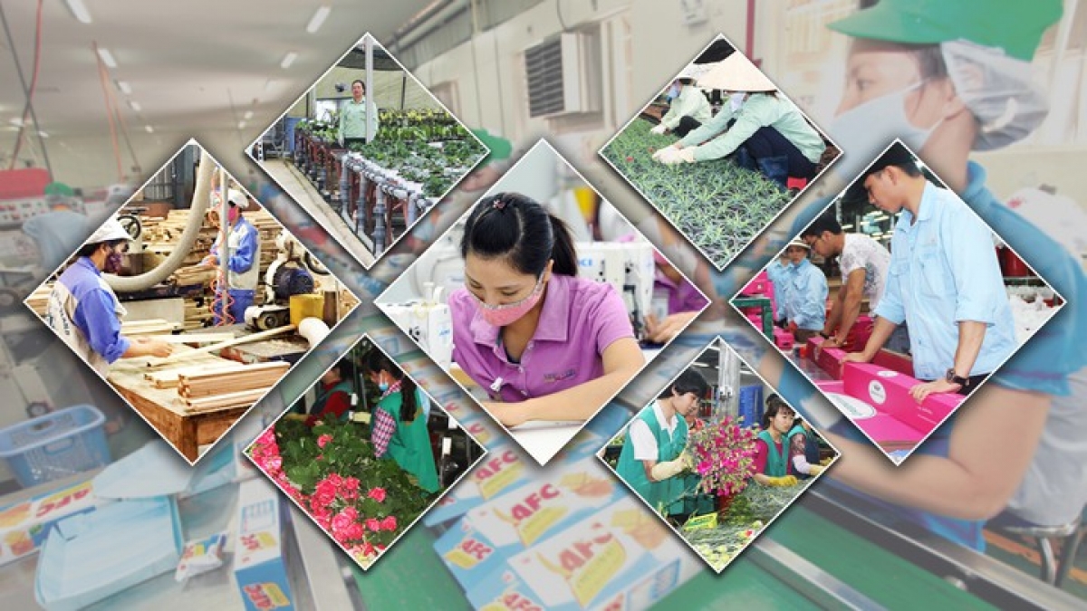 Nền kinh tế Việt Nam chịu nhiều tác động từ nhiều yếu tố bất định