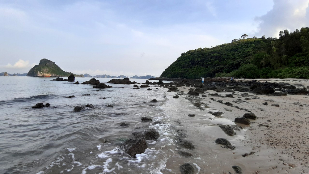 Tu La Mountain, in the west of Ngoc Vung Island, is the basket of sea snails.