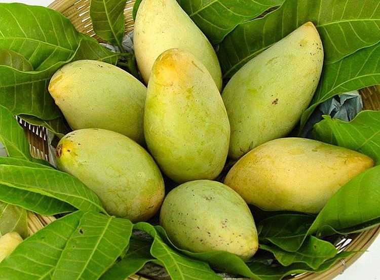 Vụ mạo danh xuất xứ gây ảnh hưởng đến uy tín của trái cây Việt Nam khi xuất sang các thị trường Trung Quốc và các thị trường khác