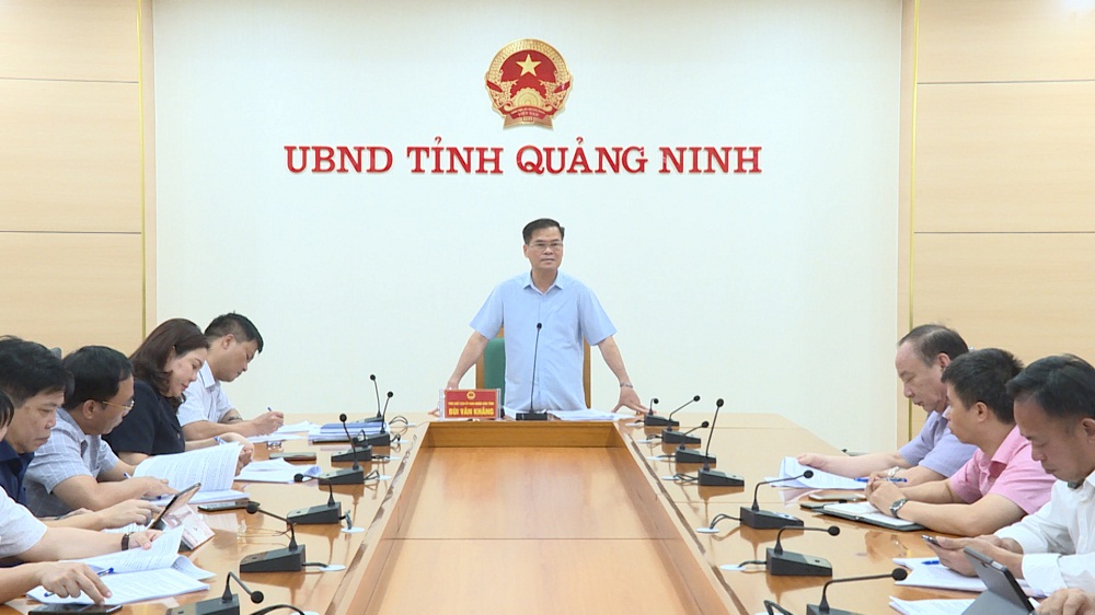 Đồng chí Bùi Văn Khắng, Phó Chủ tịch UBND tỉnh kết luận cuộc họp