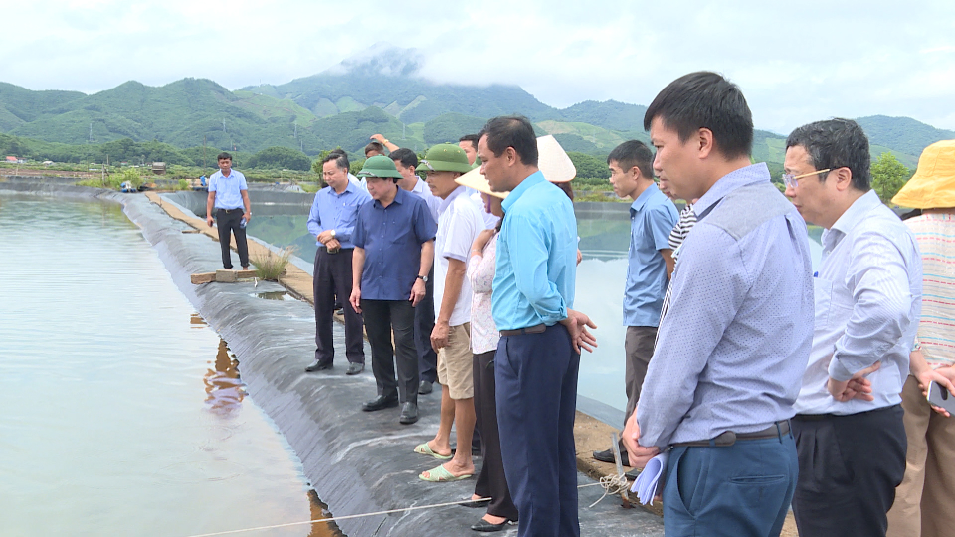 Thứ trưởng Bộ NN & PTNT Lê Quốc Doanh thăm mô hình nuôi cá vược thương phẩm trong ao bạt tại  xã Hải Lạng, huyện Tiên Yên
