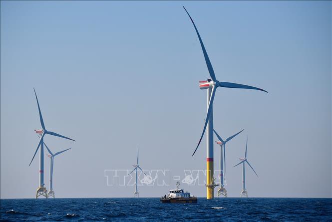 Tuabin gió tại Biển Baltic, miền bắc nước Đức. Ảnh: AFP/TTXVN