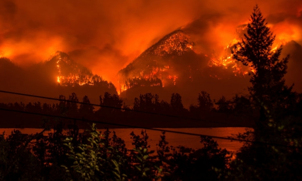 Hiện trường một vụ cháy rừng tại Mỹ. Ảnh: Reuters