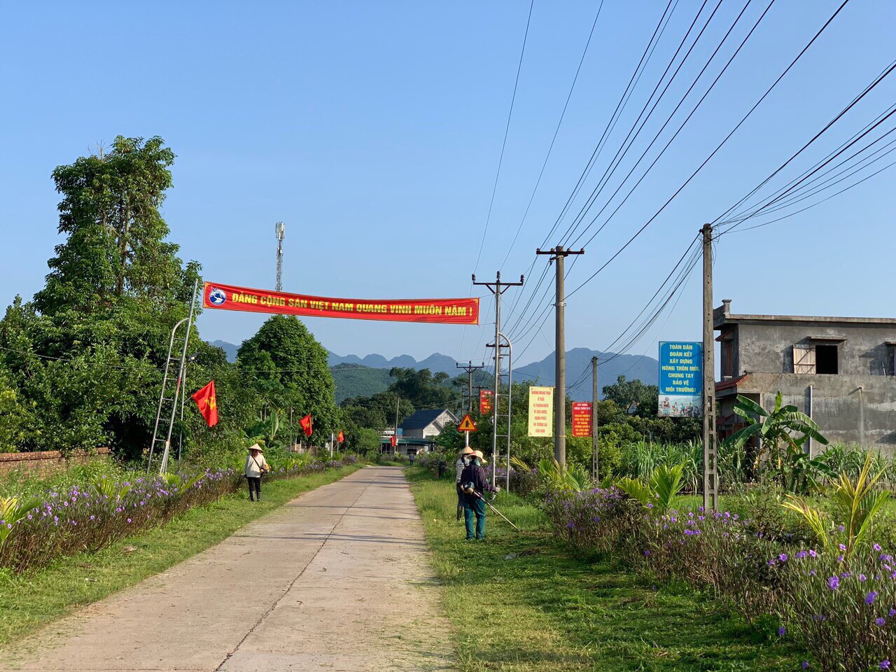 Chi hội phụ nữ thôn Mào Lẻng, xã Quảng Lâm, huyện Đầm Hà thực hiện phong trào ngày chủ nhật xanh.