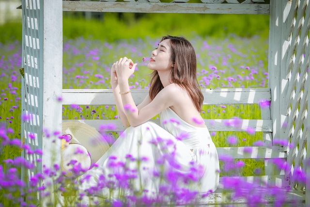 Cánh đồng oải hương thảo đua nhau khoe sắc tại một thảo nguyên hoa nằm trên địa bàn quận Long Biên nhanh chóng khiến giới trẻ thích thú tìm đến.