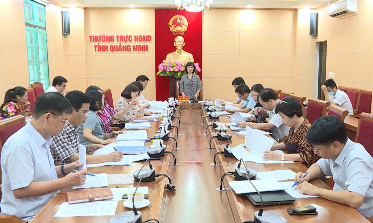 đồng chí Trịnh Thị Minh Thanh, Phó Chủ tịch Thường trực HĐND tỉnh phát biểu tại buổi giám sát.