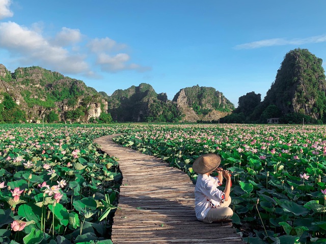 Hồ sen Hang Múa đang trở thành một trong những điểm sống ảo được yêu thích khi tới Ninh Bình.