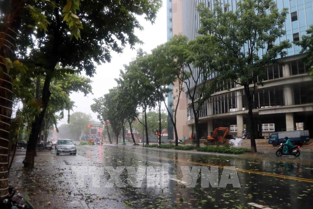 Bão số 5 mang theo mưa lớn và gió giật mạnh đổ bộ vào thành phố Huế. Đỗ Trưởng-TTXVN