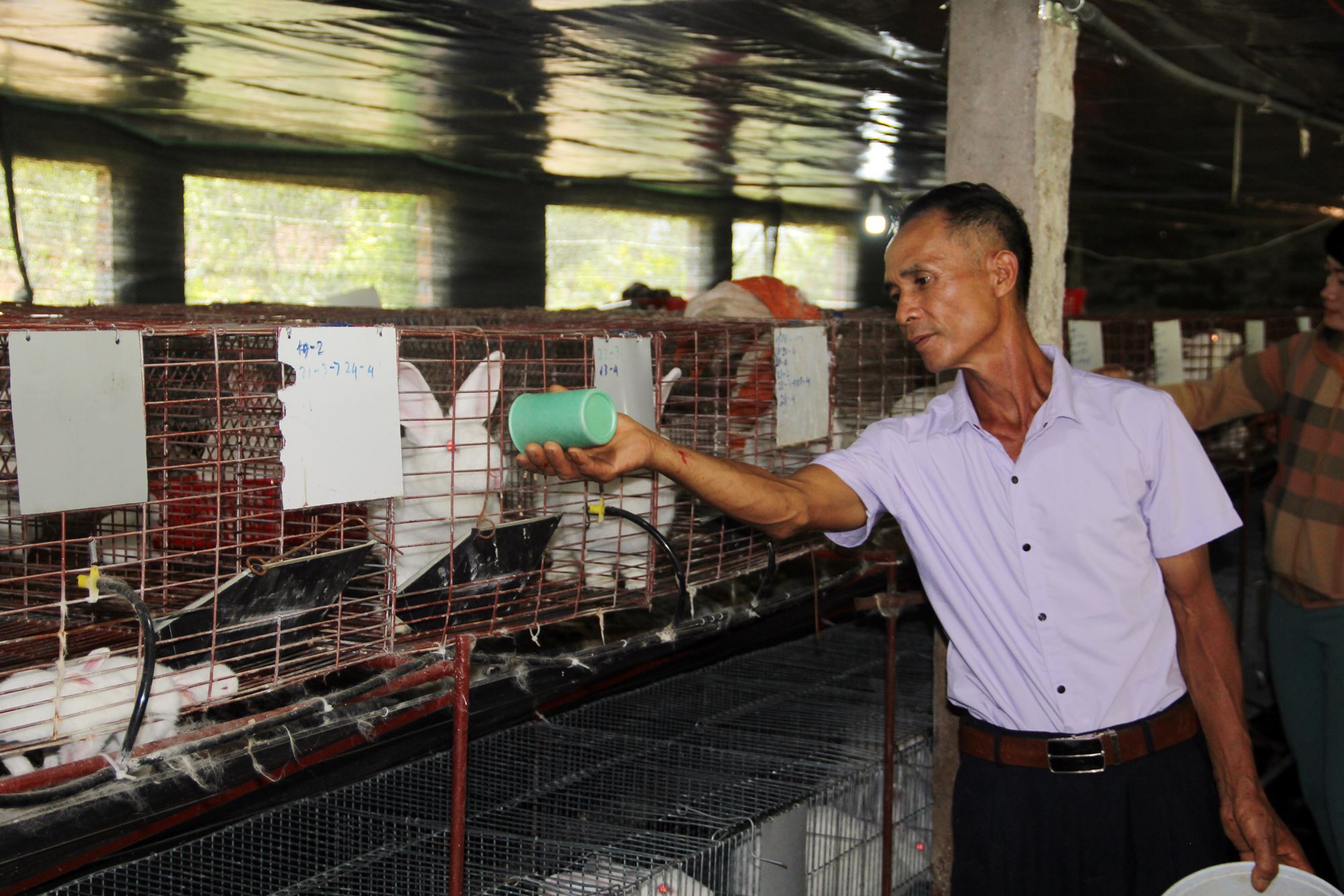 Mô hình nuôi thỏ thương phẩm của ông Nguyễn Hồng Khanh, thôn Hổ Lao, xã Tân Việt (TX Đông Triều). 