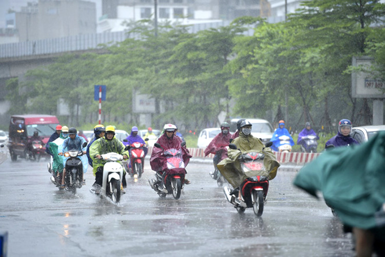 Hà Nội có mưa vừa, mưa to, có nơi mưa rất to và rải rác có dông.