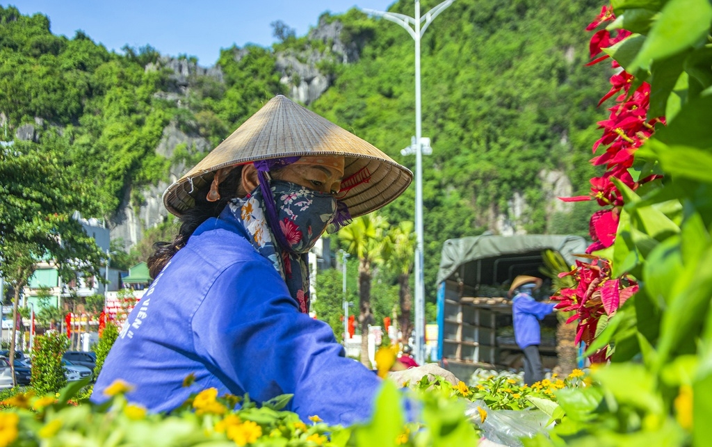 Các công nhân của Công ty CP cây xanh công viên Quảng Ninh sắp đạt, tạo hình và chăm sóc cẩn thận hệ thống hoa, cây xanh tại khu vực.