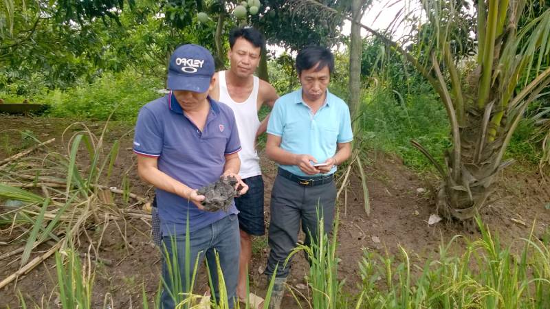 Cán bộ Trung tâm Khuyến nông tỉnh kiểm tra mô hình nuôi rươi kết hợp trồng lúa tại phường Phương Nam (TP Uông Bí).